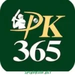 PK365 Game